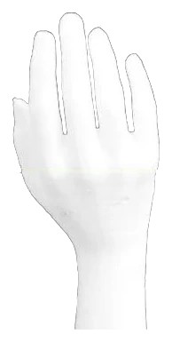 Joyero para anillos